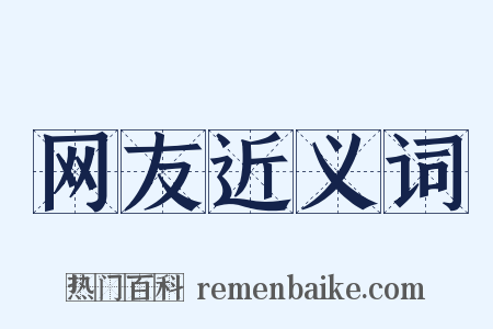 网友近义词是什么意思的图片